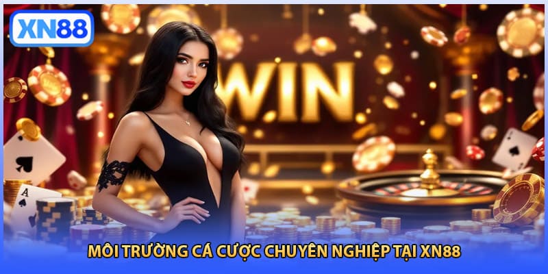 Môi trường cá cược chuyên nghiệp tại XN88